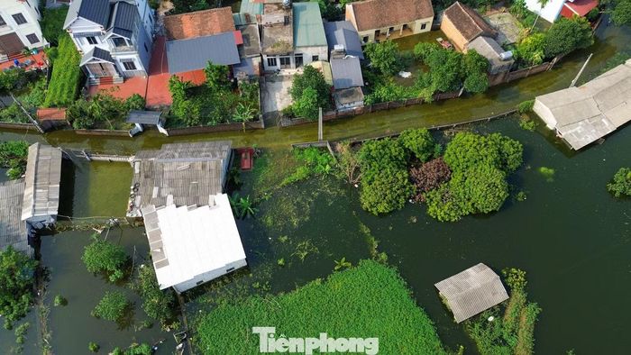 Không chỉ khu dân cư, khoảng 210 ha đất sản xuất tại Mỹ Lương cũng bị ảnh hưởng, gồm 65 ha lúa, 25 ha rau màu, 60 ha cây ăn quả và 60 ha nuôi trồng thủy sản.