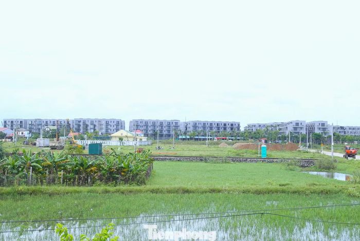 Khu vực tái định cư cho người dân Hòa Lam.