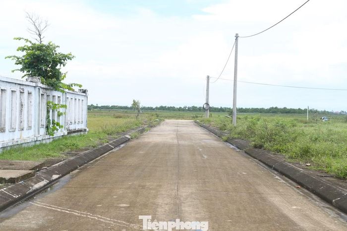 Khu tái định cư đã được đầu tư hạ tầng cơ bản.