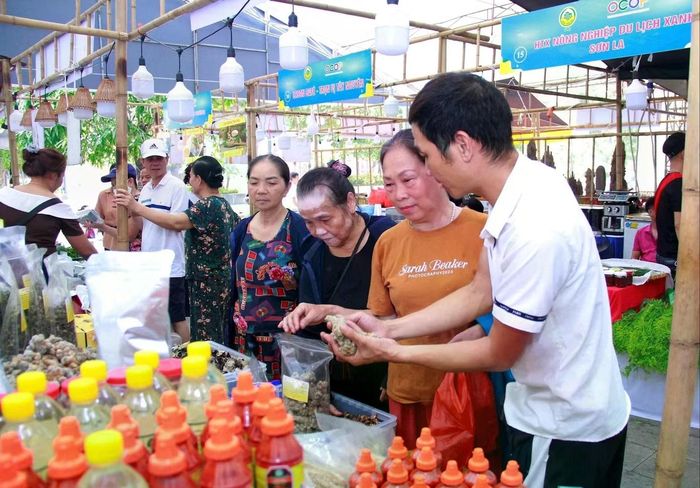 Nông sản Hà Nội chuẩn hóa chuỗi giá trị, lấy chất lượng thực chất làm thước đo uy tín trên thị trường.