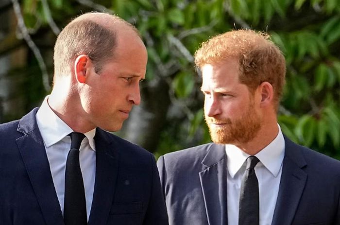 Tình hình hiện tại có thể khiến mối quan hệ giữa William và Harry thêm căng thẳng.