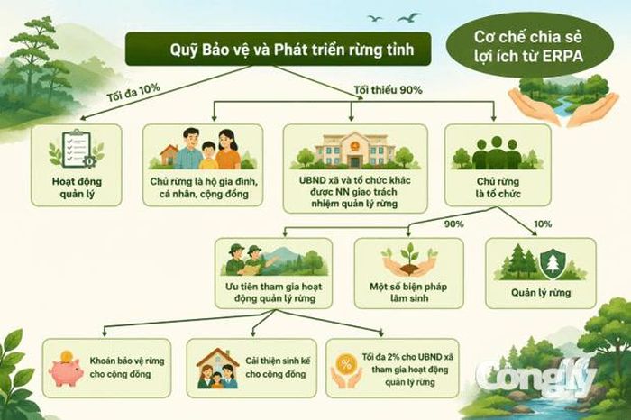 Cơ chế chia sẻ lợi ích từ ERPA góp phần bảo đảm nguồn lực cho hoạt động quản lý, bảo vệ rừng, đồng thời hỗ trợ cải thiện sinh kế cho cộng đồng.
