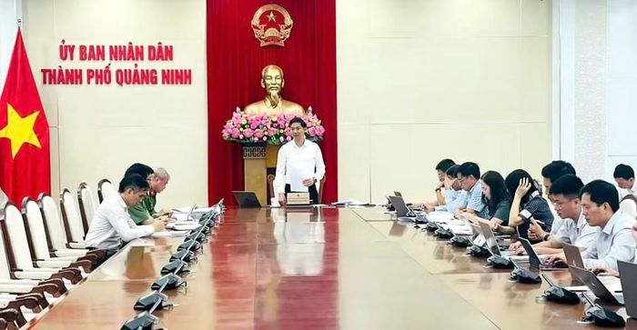 Phó Chủ tịch UBND thành phố Quảng Ninh chủ trì cuộc họp về triển khai công tác đo đạc, lập bản đồ địa chính, lập hồ sơ địa chính và hoàn thành cơ sở dữ liệu quốc gia về đất đai trên địa bàn.