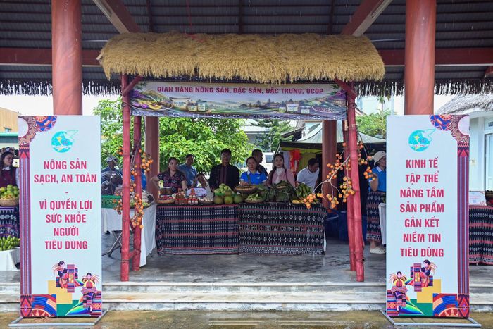 Gian hàng trưng bày tại Ngày hội.