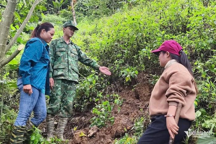Một đoạn vết nứt được ghi nhận tại khu vực núi gần thôn Gari. Ảnh: A.Trường
