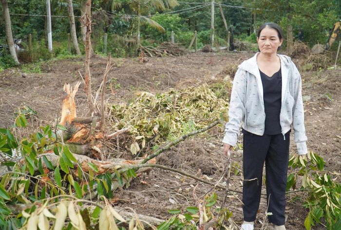 Bà Đón cho biết gia đình chấp nhận thiệt hại về cây trồng để bộ đội thuận lợi tìm kiếm những người đã hy sinh. Ảnh: T.X