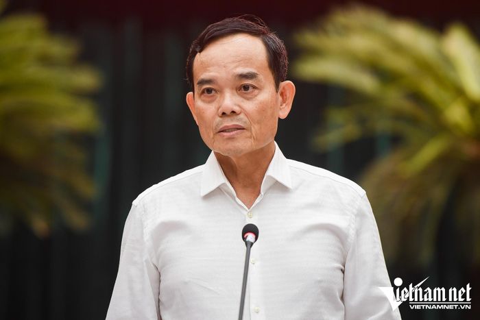 Bí thư Thành ủy TPHCM Trần Lưu Quang phát biểu tại hội nghị chiều 22/9. Ảnh: Nguyễn Huế