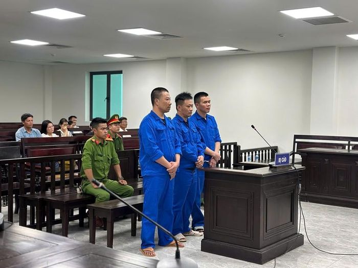  Các bị cáo tại phiên tòa.