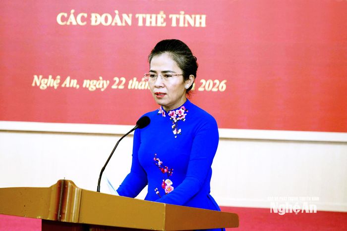 Phó Bí thư Tỉnh ủy Võ Thị Minh Sinh phát biểu tại hội nghị. Ảnh: TL
