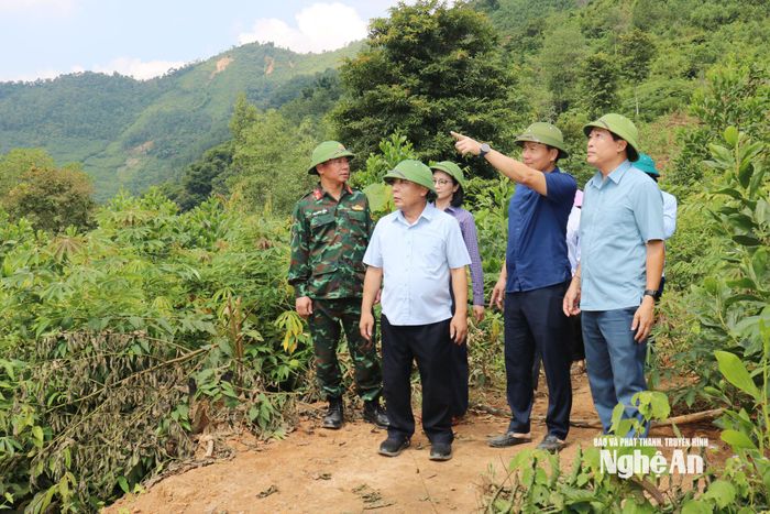 Lãnh đạo địa phương và ngành xây dựng báo cáo với Phó Chủ tịch UBND tỉnh Nguyễn Văn Đệ về phương án san ủi, đảm bảo giao thông tại điểm sạt lở. Ảnh: Nguyễn Nam