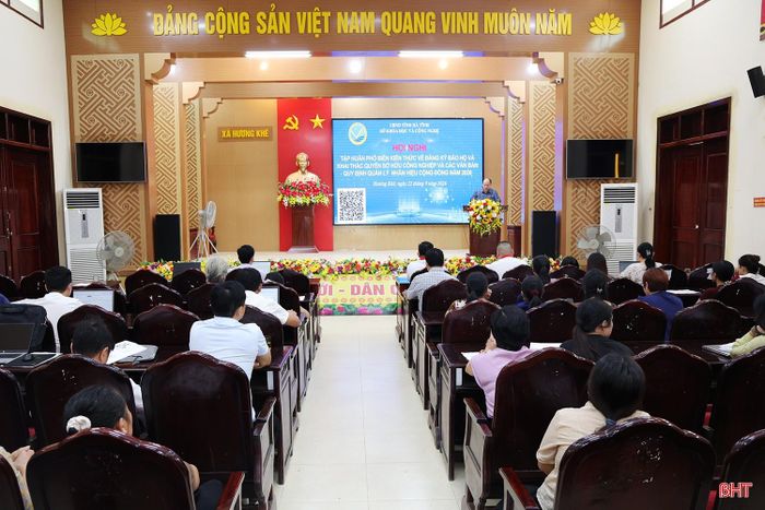 Toàn cảnh hội nghị tập huấn.