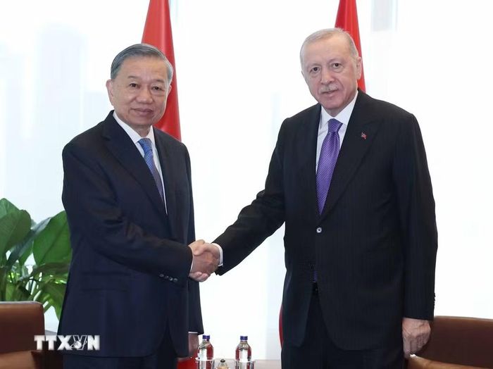 Tổng Bí thư, Chủ tịch nước Tô Lâm gặp Tổng thống Thổ Nhĩ Kỳ Recep Tayyip Erdogan. (Ảnh: Thống Nhất/TTXVN)