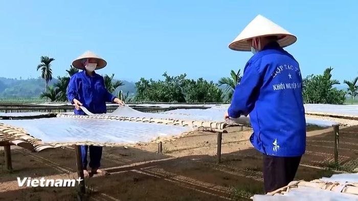 Sản xuất miến đao tại xã Quy Mông, tỉnh Lào Cai. (Nguồn: Vietnam+)