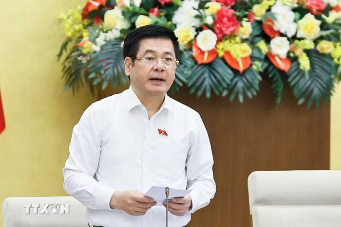 Phó Chủ tịch Quốc hội Nguyễn Hồng Diên phát biểu. (Ảnh: Doãn Tấn/TTXVN)