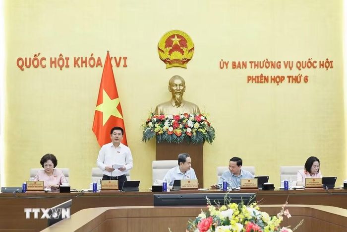 Phó Chủ tịch Quốc hội Nguyễn Hồng Diên phát biểu. (Ảnh: Doãn Tấn/TTXVN)