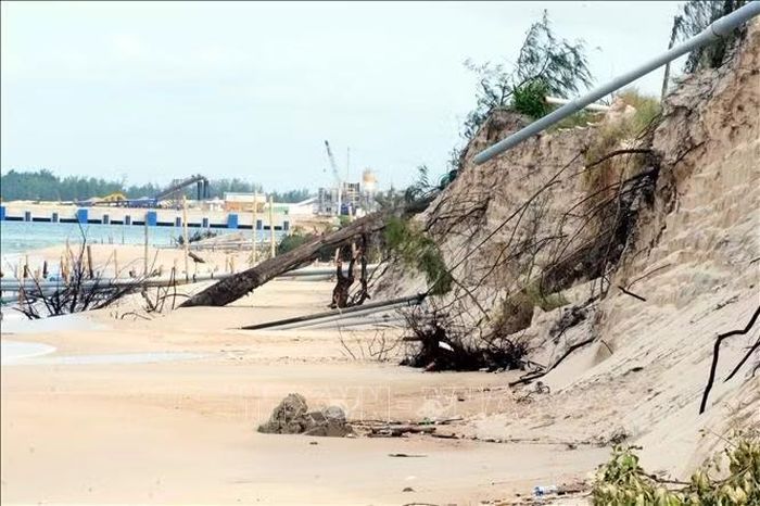 Trong hai năm trở lại đây, biển đã xâm thực vào đất liền khoảng 200m, cuốn trôi nhiều tài sản, cây cối dọc bãi biển thôn Mỹ Thủy, xã Mỹ Thủy.
