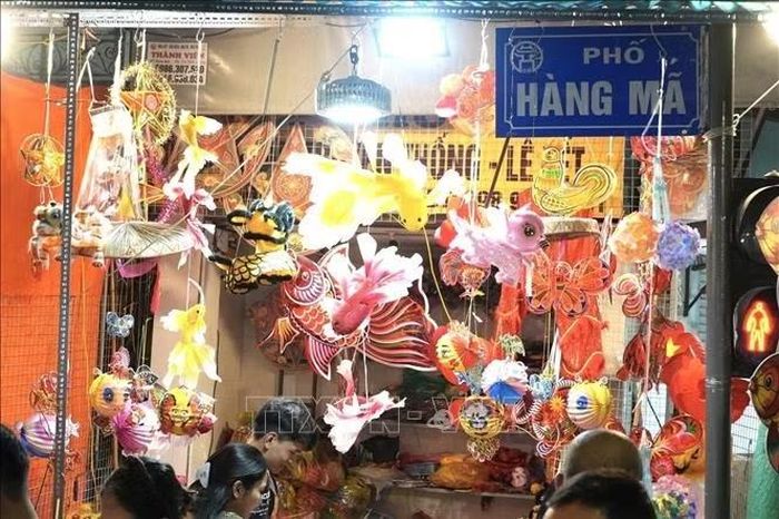 Các mẫu đèn lồng hình cá chép và đèn ông sao với màu sắc rực rỡ được bày bán tại một cửa hàng trên phố Hàng Mã để phục vụ nhu cầu mua sắm của người dân dịp Tết Trung thu.