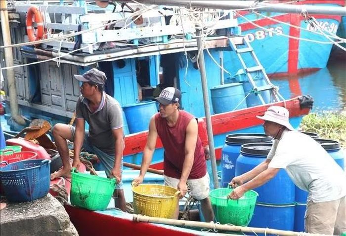 Mỗi ngư dân có thu nhập khoảng 500 nghìn đồng/đêm.