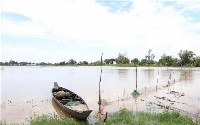 Nước tràn vào đồng ruộng mang theo phù sa và tôn, cá, nên người dân tỉnh An Giang tranh thủ đặt dớn đánh bắt để có thêm thu nhập trong thời gian nông nhàn.