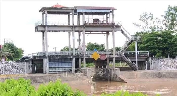 Cống Bắc Vàm Nao được mở để đón phù sa vào đồng ruộng ở Tiểu vùng Bắc Cái Tắc, xã Bình Thạnh Đông, tỉnh An Giang.