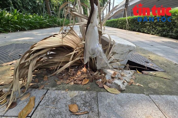Cống mất nắp trên vỉa hè Công viên Hòa Bình.