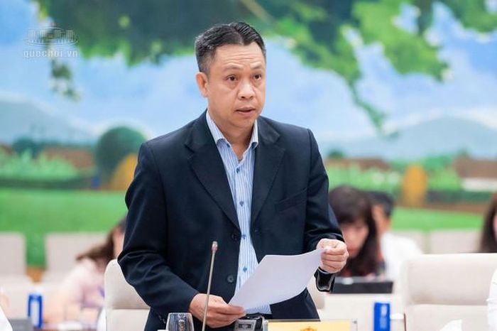 Thứ trưởng Bộ Công Thương Nguyễn Việt Sơn (Ảnh: Media Quốc hội).
