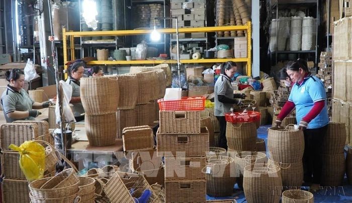 Công ty TNHH Xuất nhập khẩu Bình An Thịnh (Đồng Tháp) xuất khẩu các sản phẩm thủ công mỹ nghệ làm từ dây nhựa và cây cói, lục bình sang nhiều nước trong đó có Canada. Ảnh: Nhựt An - TTXVN