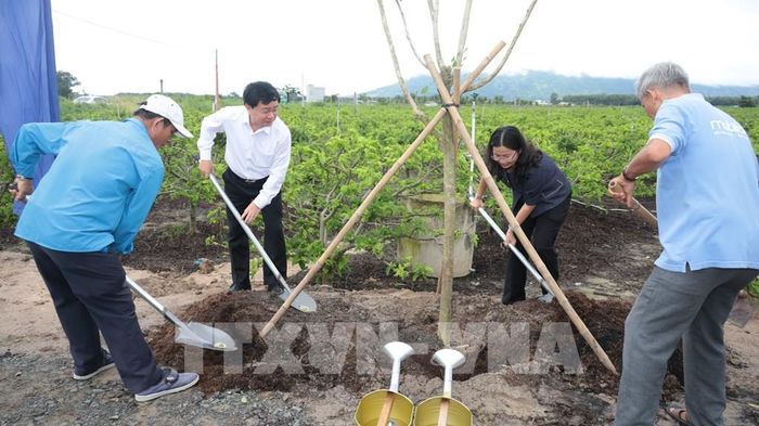 Ủy viên Trung ương Đảng, Bí thư Tỉnh ủy Nguyễn Văn Quyết (áo trắng) cùng các đại biểu tham gia trồng cây xanh dọc tuyến kênh Cầu Láng Liêm, xã Dương Minh Châu, tỉnh Tây Ninh. Ảnh: Thanh Tân - TTXVN
