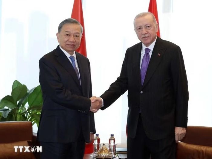 Tổng Bí thư, Chủ tịch nước Tô Lâm gặp Tổng thống Thổ Nhĩ Kỳ Recep Tayyip Erdogan. Ảnh: TTXVN