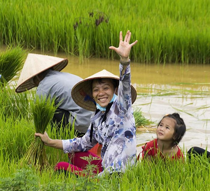 Khoản 11 Điều 11 Luật Đất đai 2024 nghiêm cấm mọi hành vi phân biệt đối xử về giới trong quản lý và sử dụng đất đai