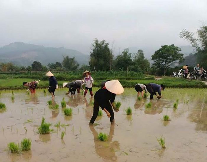 Lồng ghép giới trong Luật Đất đai không nhằm tạo ra một hệ thống đặc quyền hay đặt nam và nữ vào thế đối lập, mà là trang bị cho nhà làm luật những thông tin đầy đủ nhất để dự báo tác động đa chiều của chính sách.