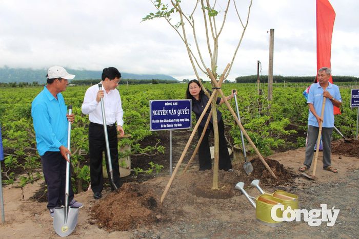 Các đại biểu tham gia trồng cây xanh.