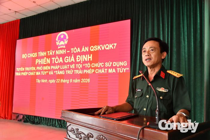 Đại tá Nguyễn Thành Đạt - Phó Chỉ huy trưởng Bộ CHQS tỉnh Tây Ninh phát biểu tại phiên tòa giả định.