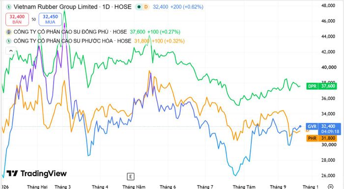  Diễn biến giá cổ phiếu GVR, PHR, DPR từ đầu năm 2026 đến nay. Nguồn Tradingview 
