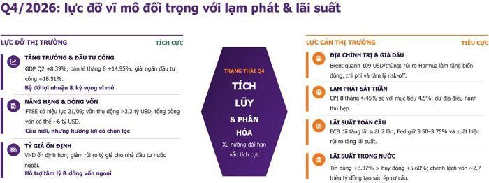 (Nguồn: TPS).