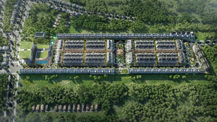 Salacia Villas được quy hoạch đề cao tính riêng tư và trải nghiệm sống.