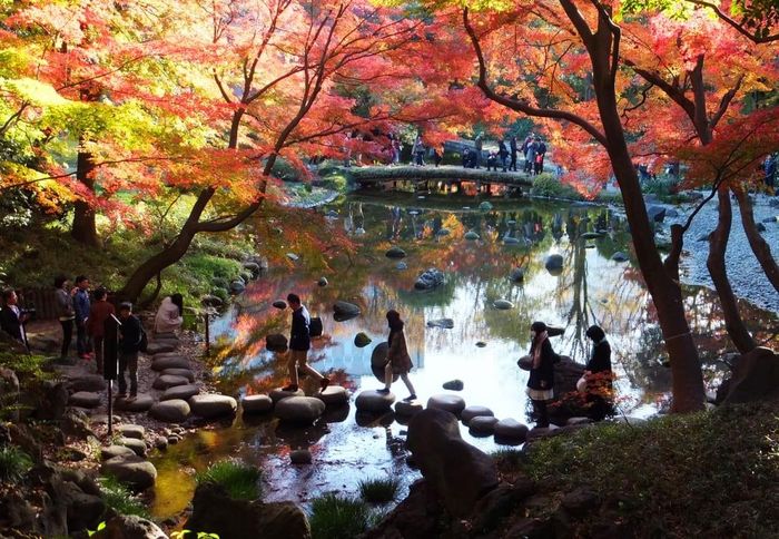 Giá tour đi Nhật Bản mùa thu này tăng cao do biến động giá vé máy bay. Ảnh: Tokyo Weekender