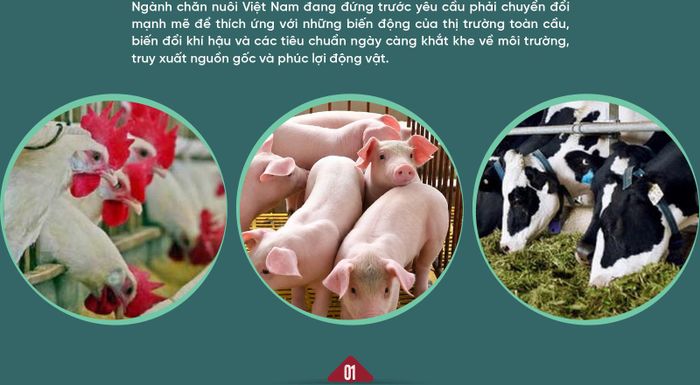 Ông đánh giá như thế nào về các thành tựu nổi bật của ngành chăn nuôi Việt Nam thời gian qua và đâu là những thách thức lớn mà ngành này đang phải đối mặt trong quá trình phát triển?