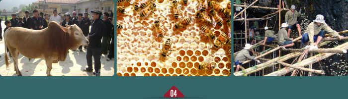 Chỉ còn gần 2 tháng nữa, AAAP 2026 sẽ diễn ra tại Việt Nam. Ông kỳ vọng gì từ sự kiện này đối với ngành chăn nuôi Việt Nam?