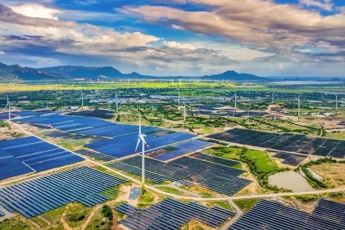 Các dự án năng lượng mặt trời để đạt tiêu chí xanh phải đáp ứng các yêu cầu quy định. Ảnh: FIS