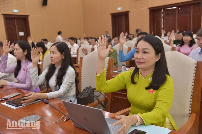Đại biểu biểu quyết thông qua các nghị quyết.