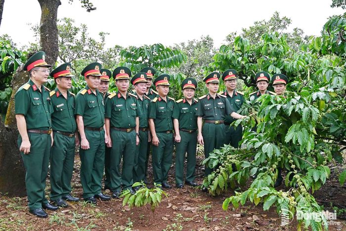 Thiếu tướng Phạm Bá Hiền, Tư lệnh Binh đoàn cùng đoàn công tác kiểm tra tại vườn cà phê Đoàn Kinh tế quốc phòng 719