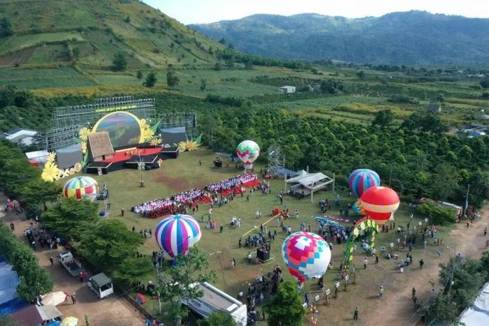 Toàn cảnh khai mạc lễ hội hoa dã quỳ tháng 11-2024.
