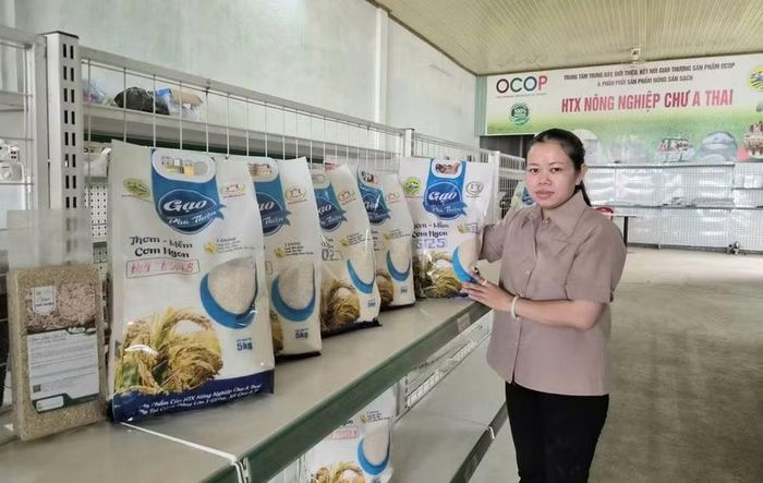 Hợp tác xã Nông nghiệp Chư A Thai đầu tư máy móc để nâng cao hiệu quả sản xuất, chế biến gạo. Ảnh: Hồng Thương