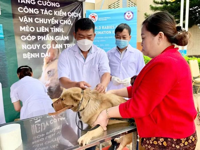  UBND tỉnh yêu cầu các tổ chức, cá nhân nuôi chó, mèo thực hiện đăng ký, khai báo, quản lý vật nuôi và tiêm đầy đủ vắc xin phòng dại. Ảnh: N.N 