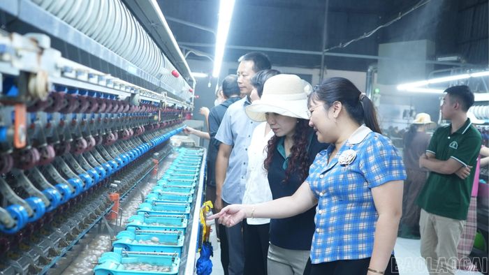 Đoàn công tác tham quan mô hình nuôi tằm tại xã Trấn Yên và tìm hiểu hoạt động sản xuất của Công ty Cổ phần Dâu tằm tơ Yên Bái.