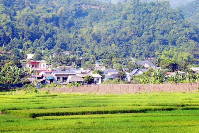 Diện mạo thôn Cóc ngày càng đổi thay.