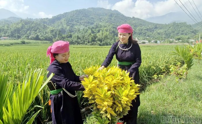 Mỗi người dân thôn Cóc không chỉ góp sức làm đường mà còn tích cực tham gia các hoạt động làm đẹp cảnh quan làng xóm, xây dựng quê hương giàu đẹp.