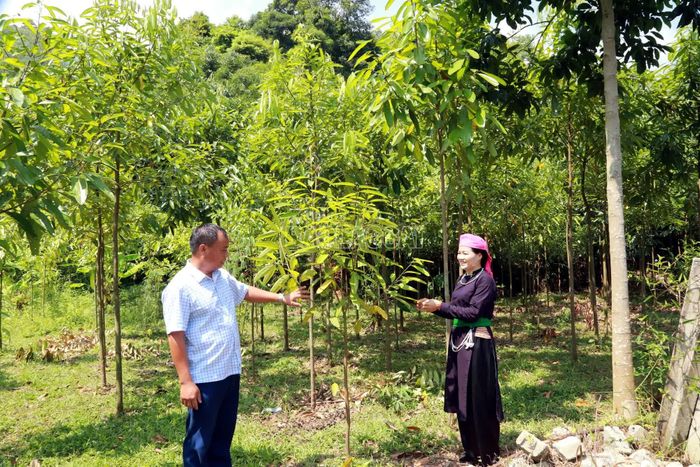 Việc chuyển đổi cơ cấu cây trồng, vật nuôi giúp đời sống người dân thôn Cóc ngày càng ấm no.