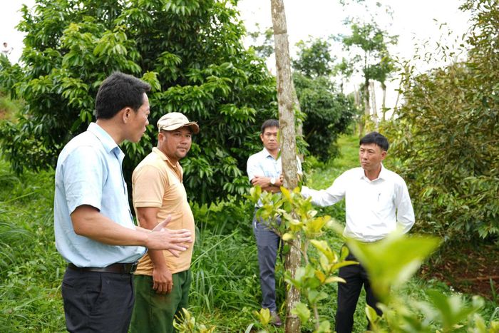 Bí thư Đảng ủy xã Quảng Trực Dương Huy Toàn (ngoài cùng bên phải) kiểm tra thực địa và đề xuất cấp có thẩm quyền hướng gỡ vướng sử dụng đất tại địa phương